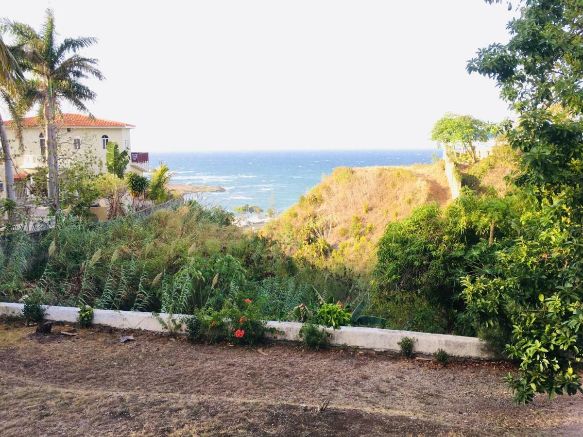 Peaceful Ocean View Studio Otel Puerto Plata Dış mekan fotoğraf